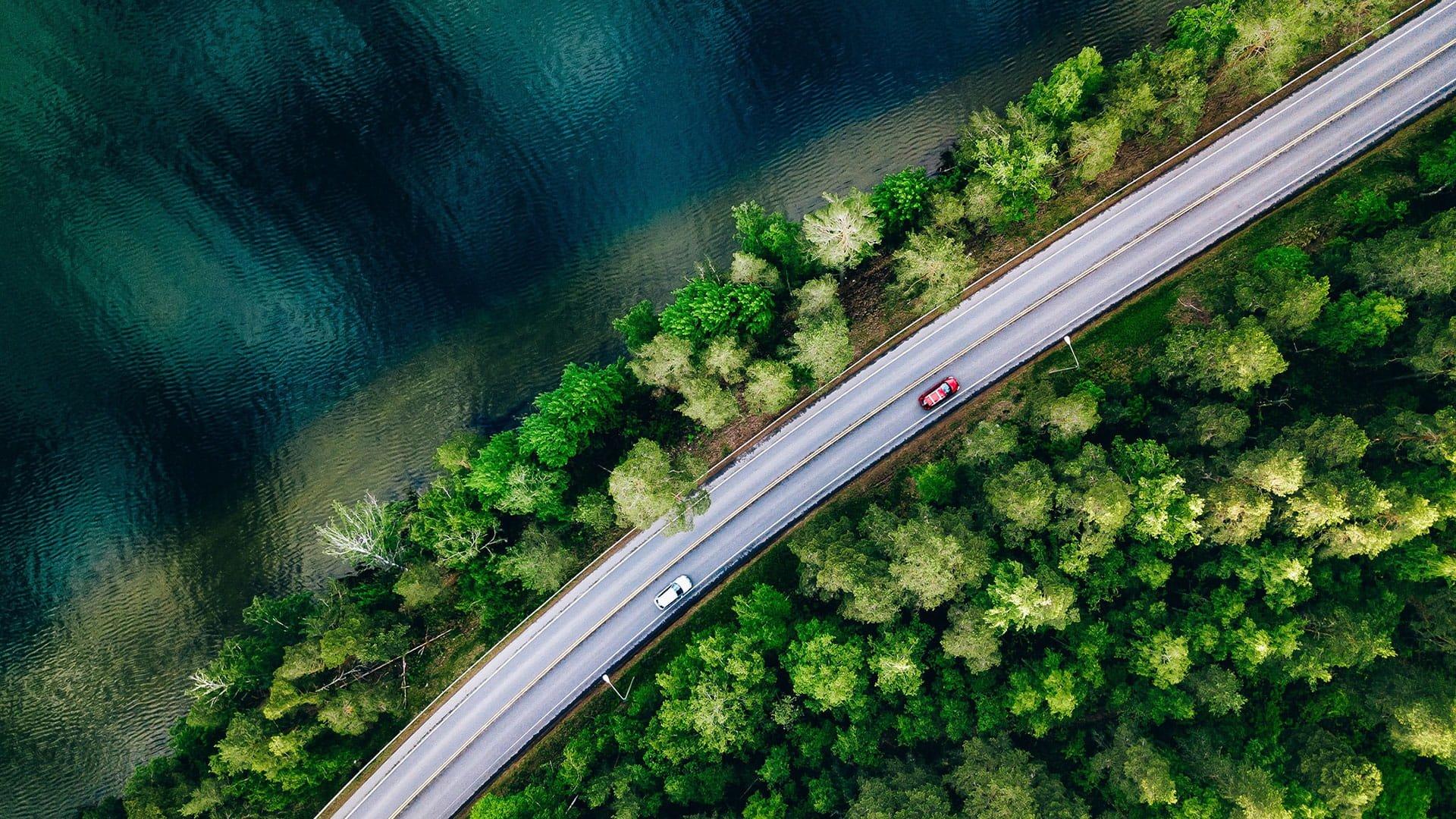 Rainforest Alliance - Digital Transformation Consulting