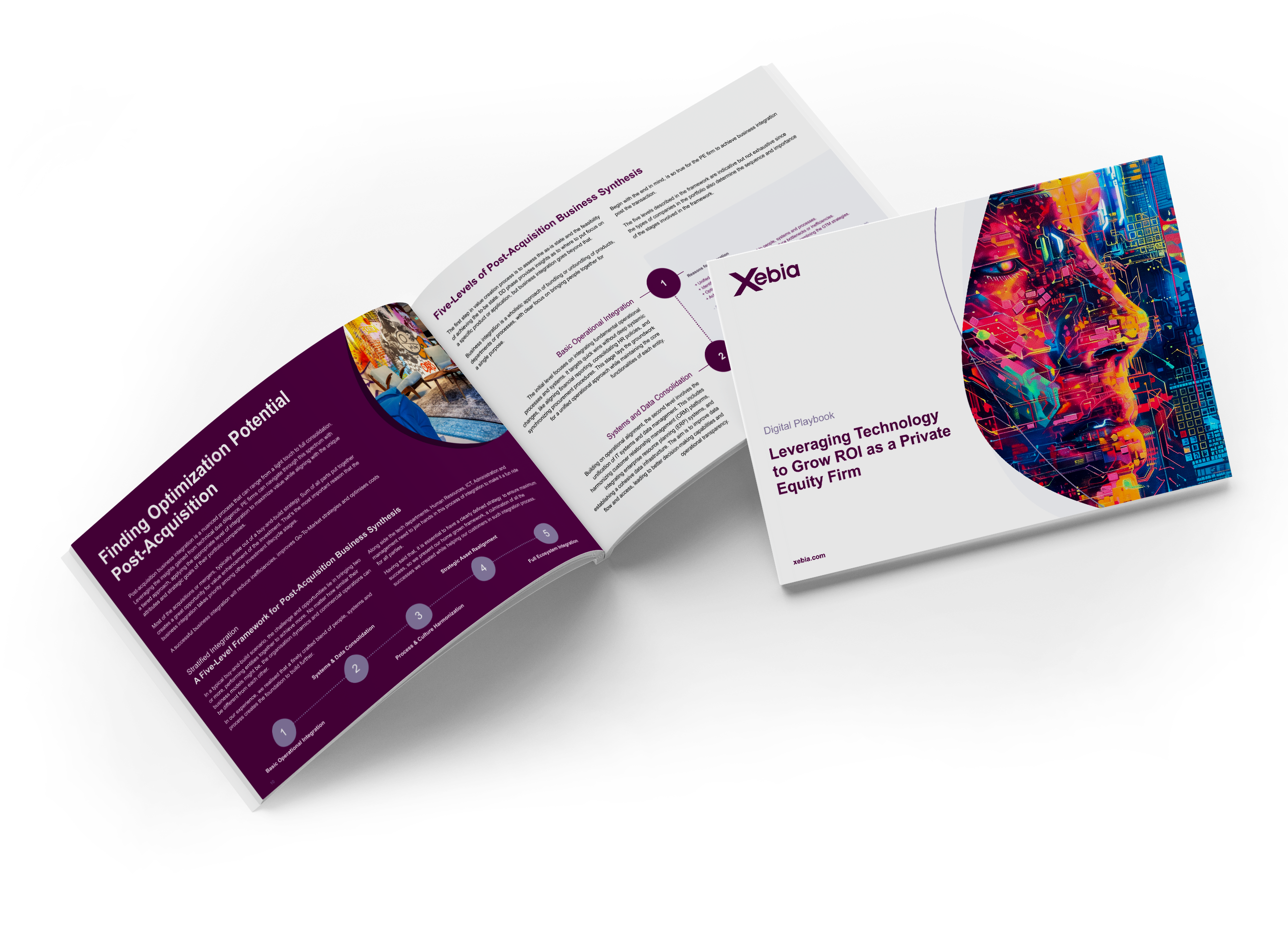 PE whitepaper mock up 1