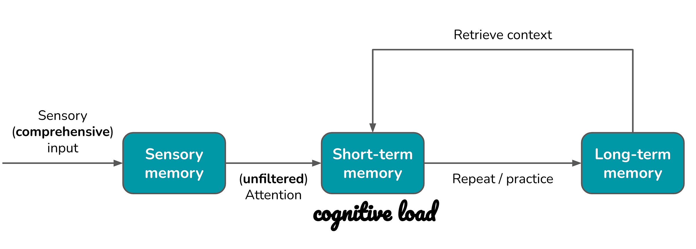 How our brain learns schema
