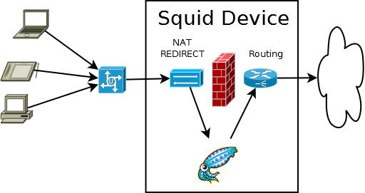 Connectivity overview